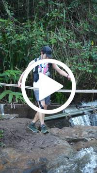 BIB:  <button type="button" onclick="openModal(27743395)" class="btn btn-primary btn-sm float-right" data-toggle="modal" data-target=".modal-high-quality">
                <i class="fa fa-download"></i> Download
                </button>